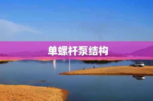  单螺杆泵结构