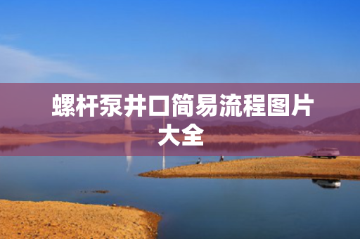  螺杆泵井口简易流程图片大全