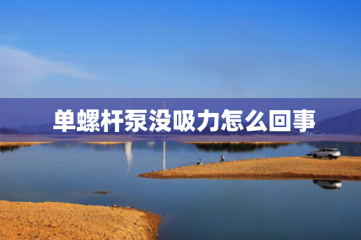  单螺杆泵没吸力怎么回事