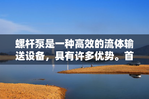 螺杆泵是一种高效的流体输送设备，具有许多优势。首先，螺杆泵具有出色的自吸能力，可以在没有外部辅助设备的情况下将流体从低位置输送到高位置。其次，螺杆泵的结构紧凑、占地面积小，非常适合在有限的空间内安装和使用。
