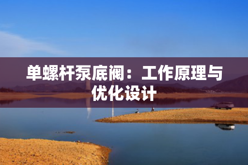 单螺杆泵底阀：工作原理与优化设计