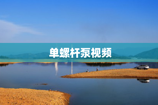  单螺杆泵视频
