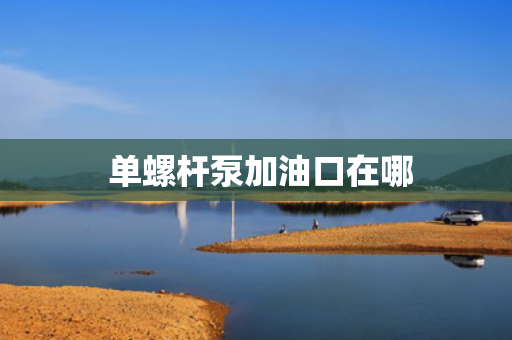  单螺杆泵加油口在哪