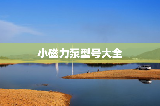 小磁力泵型号大全