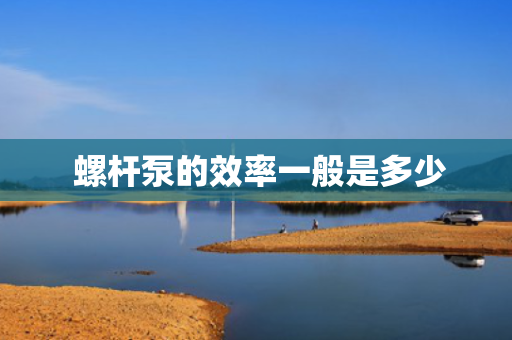  螺杆泵的效率一般是多少