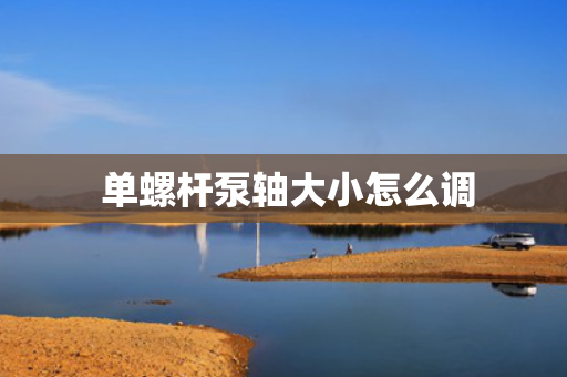  单螺杆泵轴大小怎么调
