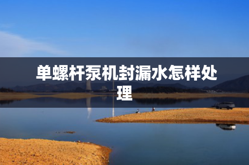  单螺杆泵机封漏水怎样处理