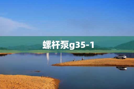  螺杆泵g35-1