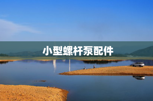  小型螺杆泵配件