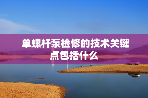  单螺杆泵检修的技术关键点包括什么