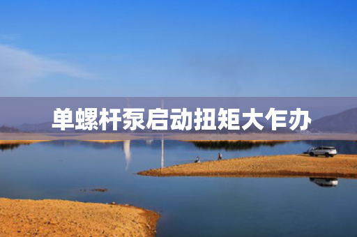  单螺杆泵启动扭矩大乍办