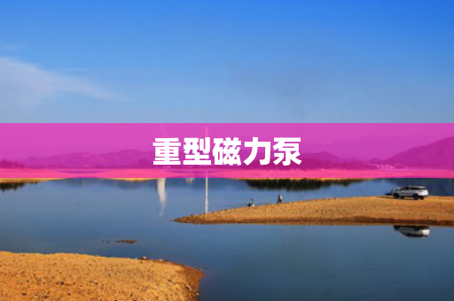 重型磁力泵