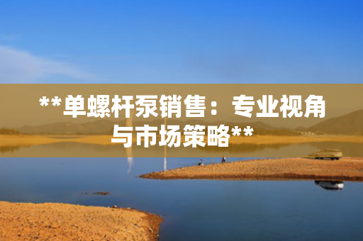 **单螺杆泵销售：专业视角与市场策略**