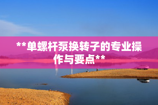 **单螺杆泵换转子的专业操作与要点**
