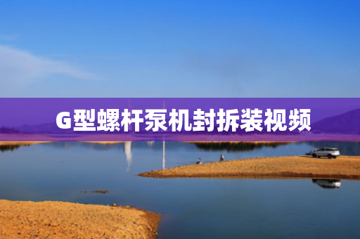  G型螺杆泵机封拆装视频