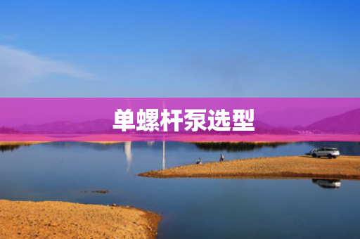  单螺杆泵选型