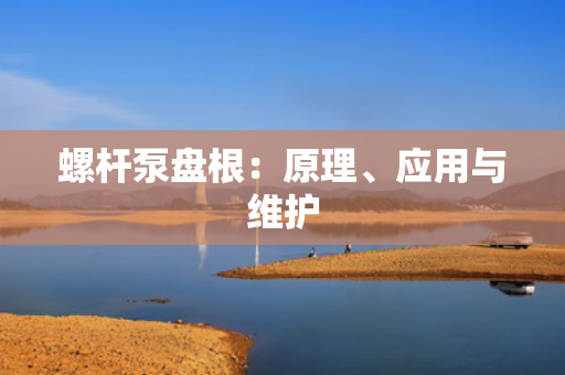 螺杆泵盘根：原理、应用与维护