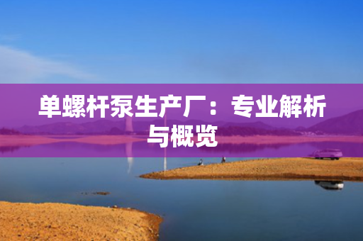单螺杆泵生产厂：专业解析与概览