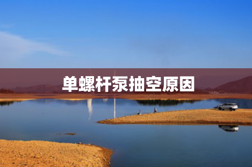  单螺杆泵抽空原因