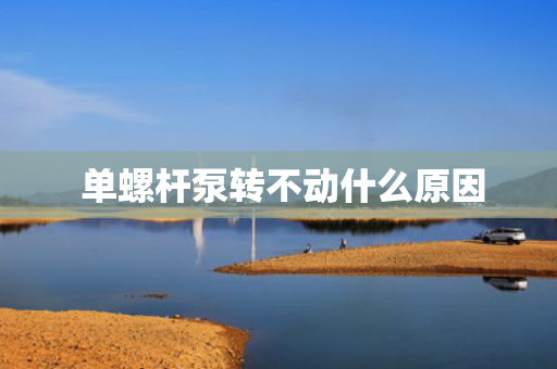  单螺杆泵转不动什么原因
