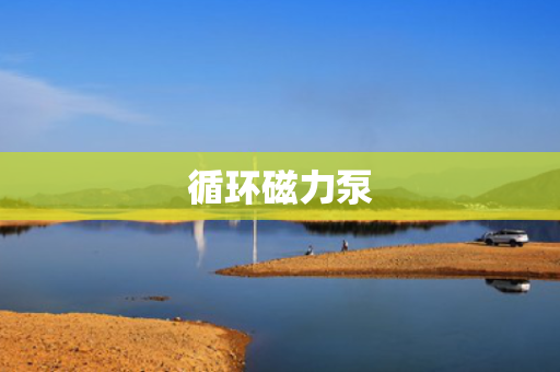 循环磁力泵