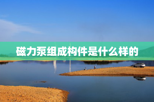 磁力泵组成构件是什么样的
