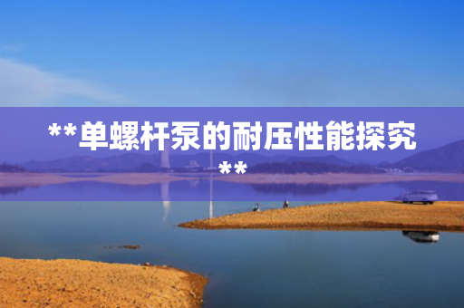 **单螺杆泵的耐压性能探究**