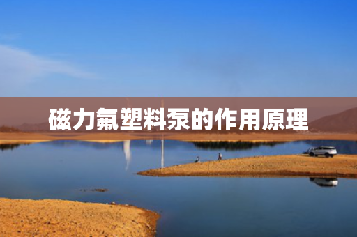 磁力氟塑料泵的作用原理