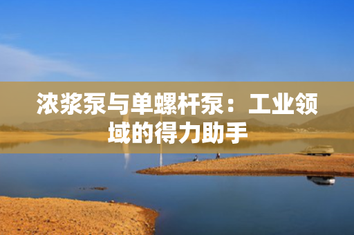 浓浆泵与单螺杆泵：工业领域的得力助手
