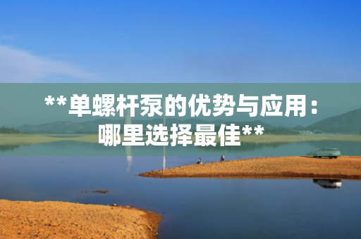 **单螺杆泵的优势与应用：哪里选择最佳**