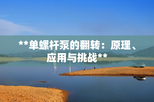 **单螺杆泵的翻转：原理、应用与挑战**