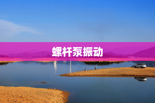 螺杆泵振动