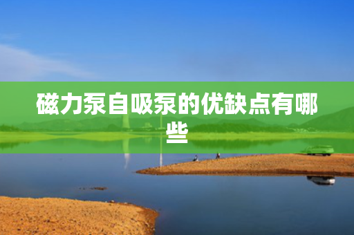 磁力泵自吸泵的优缺点有哪些
