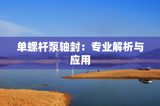 单螺杆泵轴封：专业解析与应用