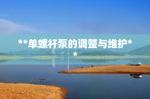 **单螺杆泵的调整与维护**