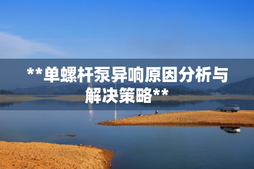 **单螺杆泵异响原因分析与解决策略**