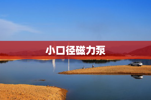小口径磁力泵