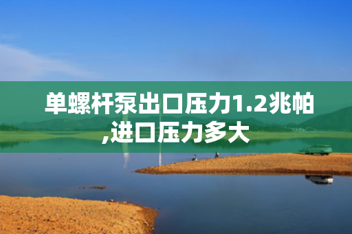  单螺杆泵出口压力1.2兆帕,进口压力多大