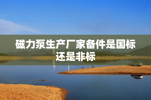 磁力泵生产厂家备件是国标还是非标