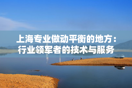 上海专业做动平衡的地方：行业领军者的技术与服务