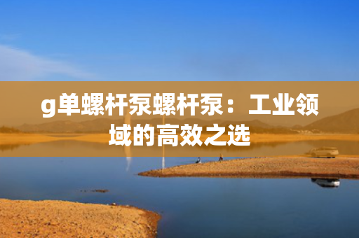 g单螺杆泵螺杆泵：工业领域的高效之选