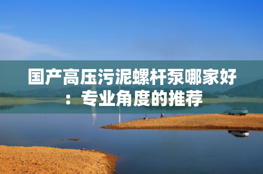 国产高压污泥螺杆泵哪家好：专业角度的推荐