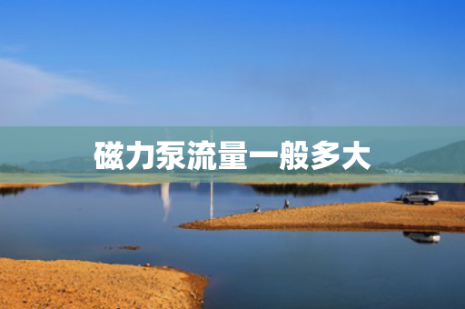 磁力泵流量一般多大