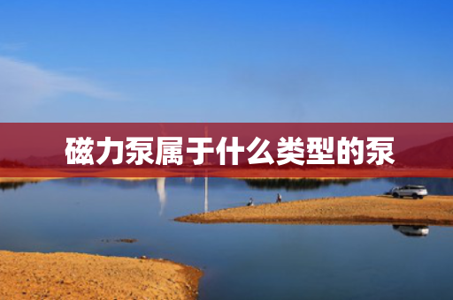  磁力泵属于什么类型的泵