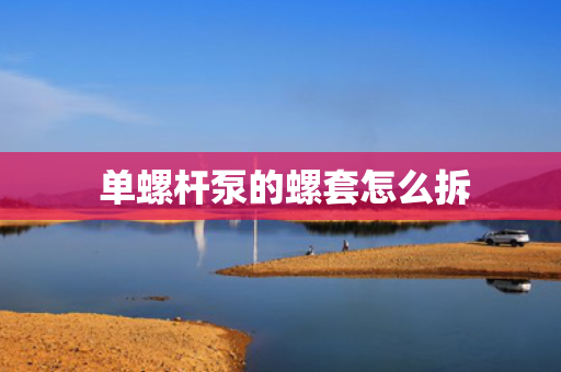 单螺杆泵的螺套怎么拆