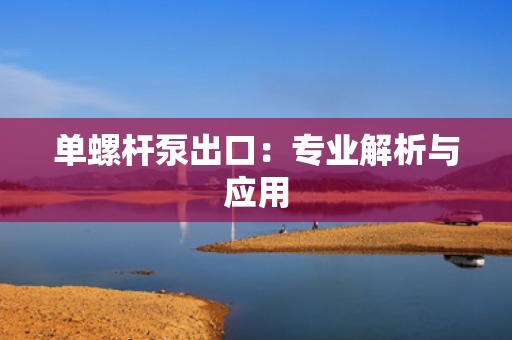单螺杆泵出口：专业解析与应用