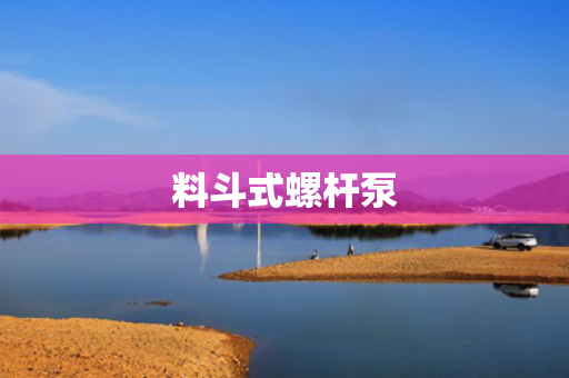 料斗式螺杆泵