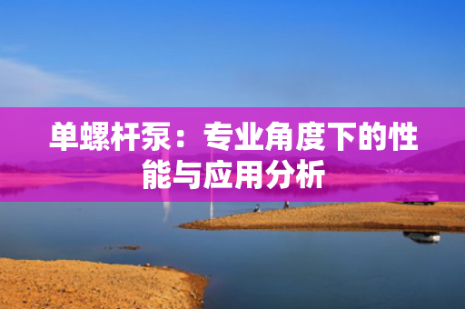 单螺杆泵：专业角度下的性能与应用分析
