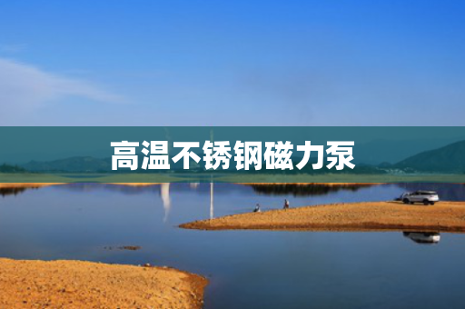 高温不锈钢磁力泵
