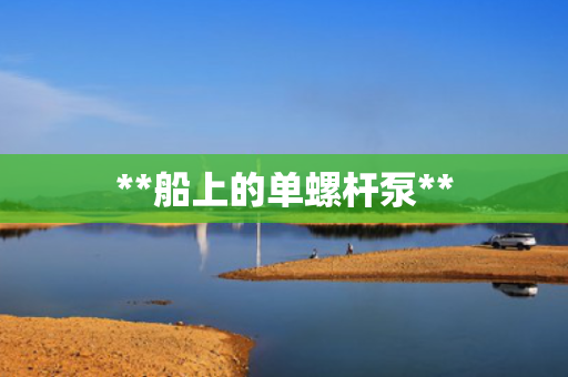 **船上的单螺杆泵**